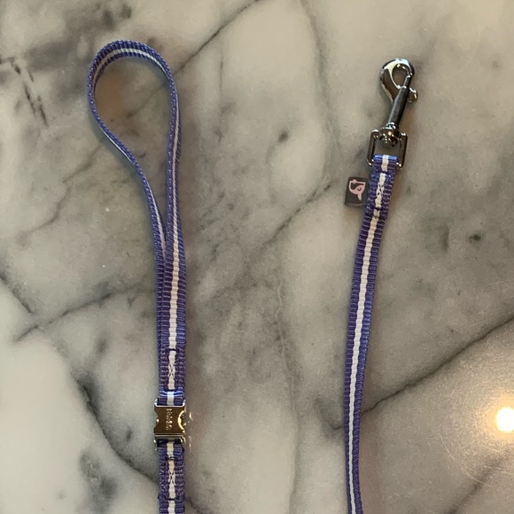 NEW DOGO 24” Small Dog Leash, Pineapple Blue, Never Used, Tags Still On - Picture 3 of 3